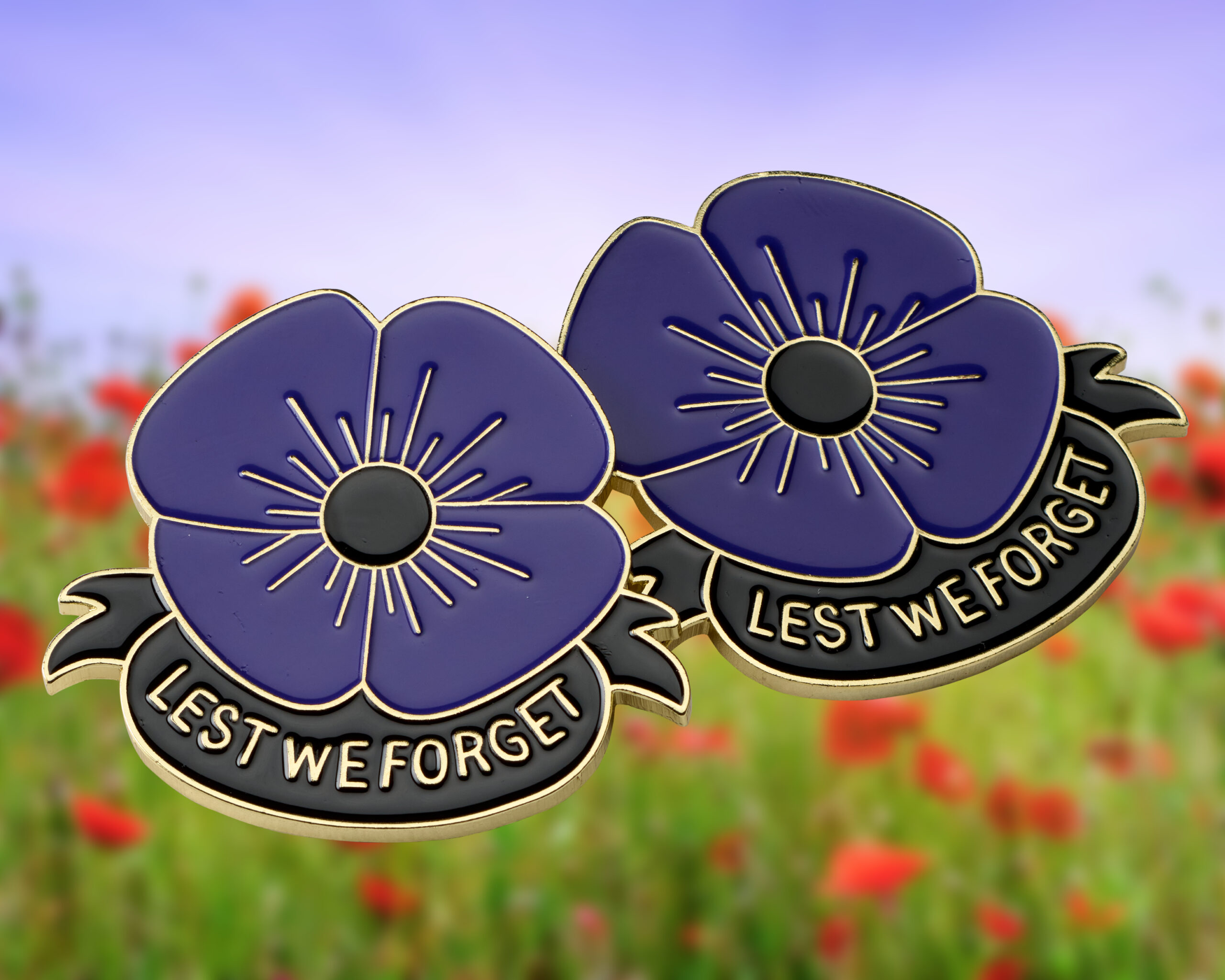 Red poppies in the field under the rays of the sun