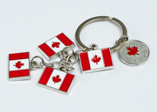 For The Love of Canada Mixed Pendant, Jewelry Package of 10 Canada items " Give a Gift of Love " - Image 5