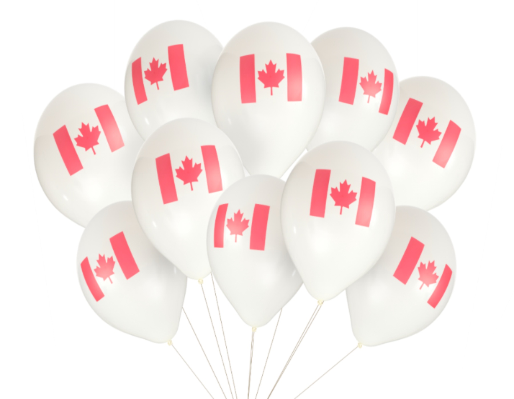 imagitool-export (6)